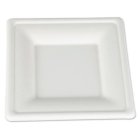 SCT ChampWare 6x6 Molded Fiber Tableware, White, 500 count