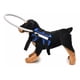 thumbnail image 1 of Arnés Para Perros Ciegos, 1 of 2