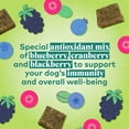 thumbnail image 6 of Honest to Goodness Protein Bites Salmon & Apple Recipe Soft Jerky Chews for Dogs, 5.5 oz., 6 of 8