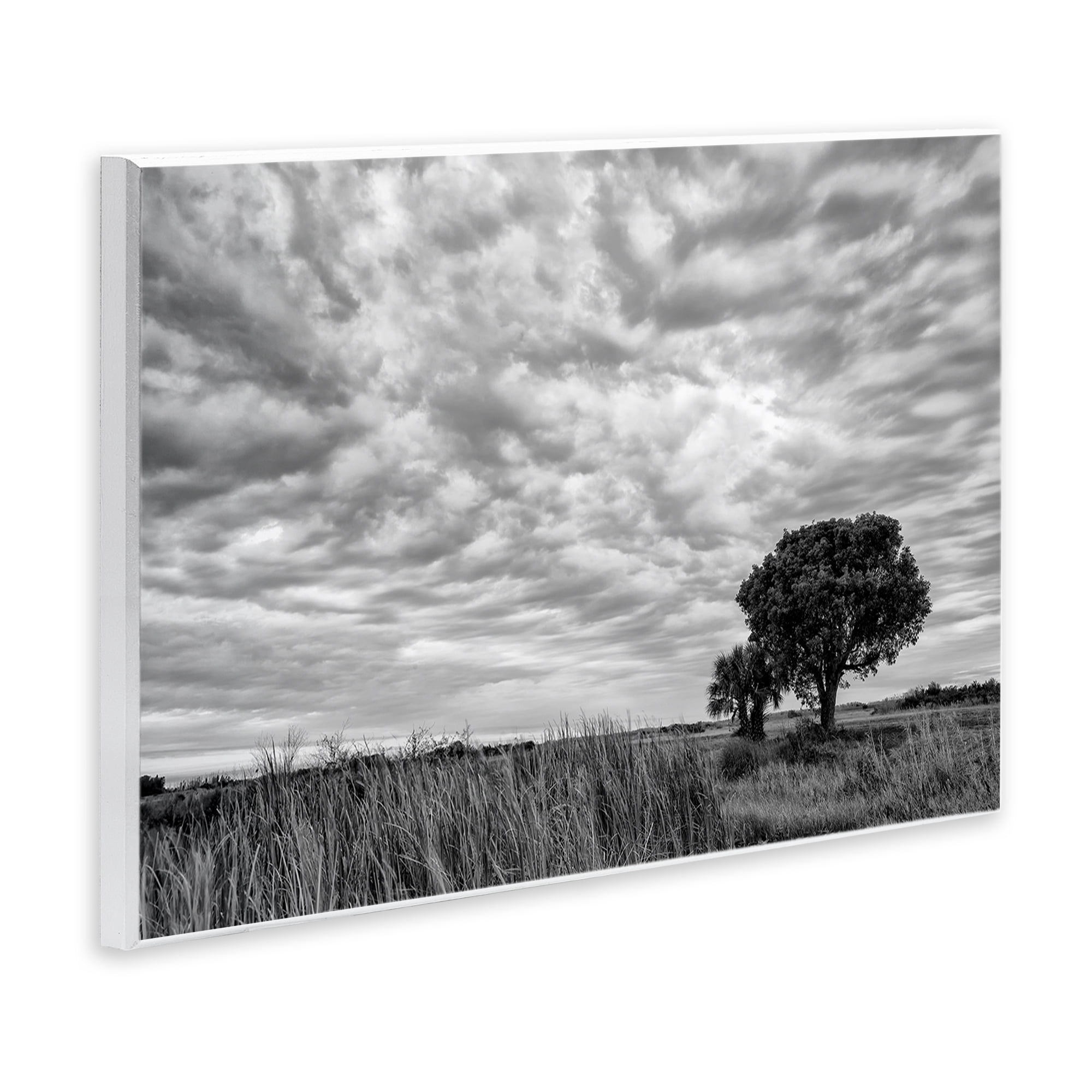 Stupell Industries Solitary Tree Beneath Clouds Wall Plaque Art, design by Jon Evan