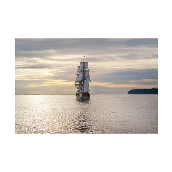 Lady Washington III' Canvas Art by Alan Majchrowicz