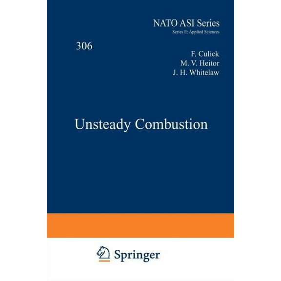 NATO Science Series E: Unsteady Combustion, Book 306, (Paperback)