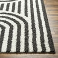 thumbnail image 5 of Mark&Day Area Rugs, 5x7 Toshiba Modern Shag Ivory/Black Area Rug, Ivory Black Carpet for Living Room, Bedroom or Kitchen (5'3" x 7'), 5 of 6
