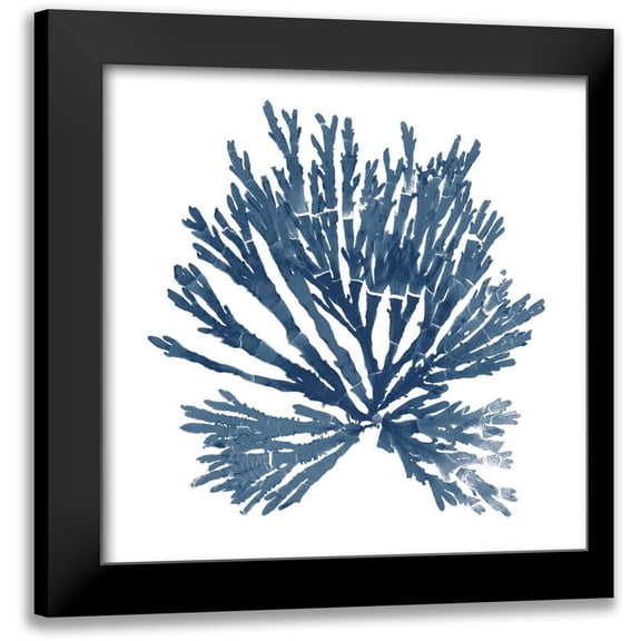 Wild Apple Portfolio 12x12 Black Modern Framed Museum Art Print Titled - Pacific Sea Mosses Blue on White II