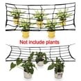 thumbnail image 3 of GLFILL Elastic Trellis Net w/Hooks Plant Support Netting for Grow Tent 4 Sizes 120 x 120cm, 3 of 9