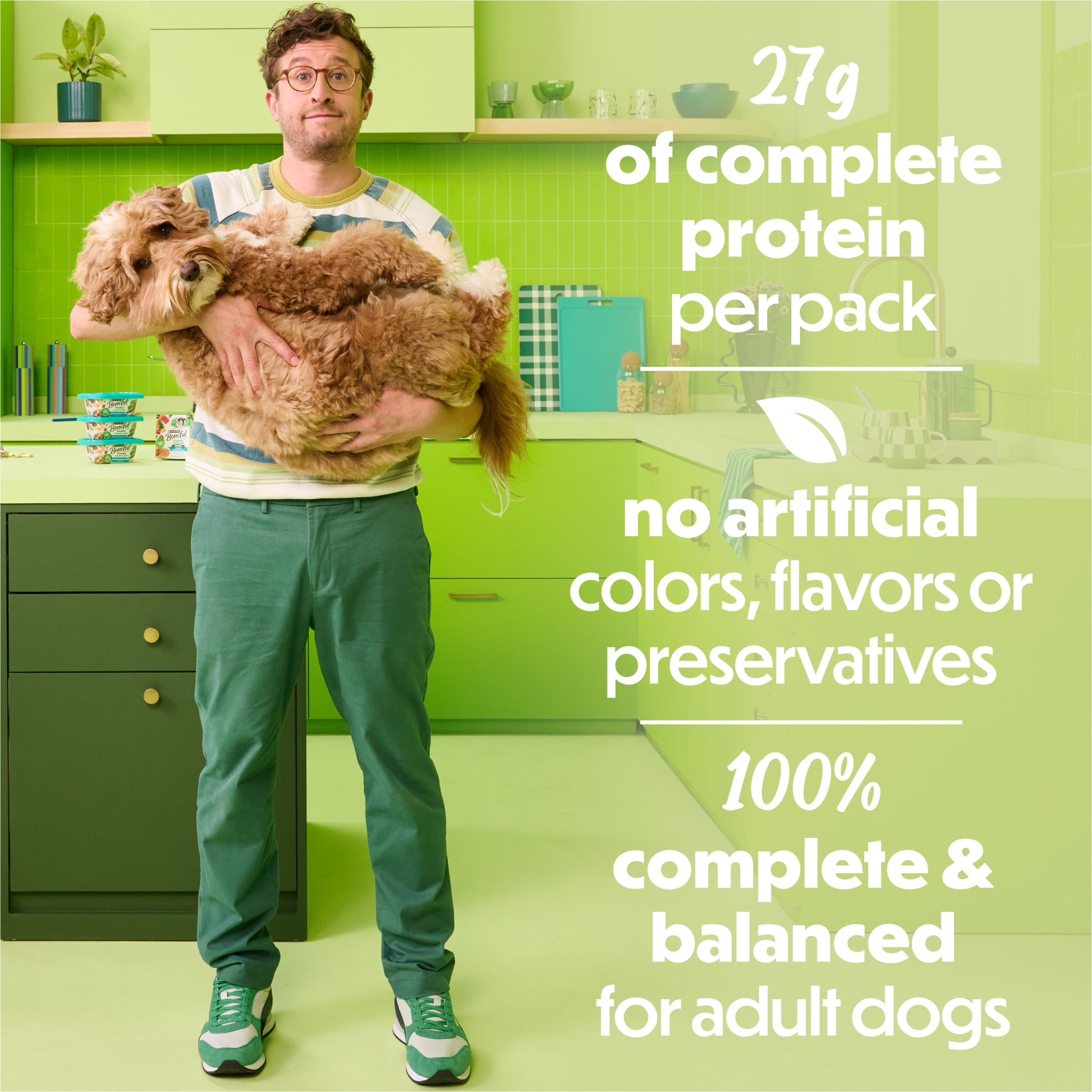 Purina Beneful Freshly Prepared Classics Turkey Dinner Wet Dog Food, 9.5 oz Carton