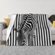 thumbnail image 1 of Fotbe Optical Zebra Illusion Manta de Franela con Estampado, Manta Ultrasuave para Cama, Sofá, Auto, Hipoalergénica y Antibolitas-40"x30", 1 of 6