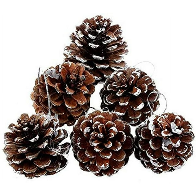 6 piñas navideñas de 1,96" con punta de nieve, piñas naturales, adornos de piñas de madera esmerilada para decorar y diseñar (6 piezas)