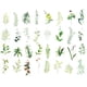 thumbnail image 1 of Methold 34 Uds plantas verdes impresión fina formas irregulares papel artesanal literatura arte diario pegatinas Suministros de escritura y corrección, 1 of 6