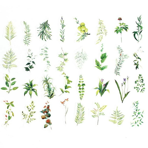 Methold 34 Uds plantas verdes impresión fina formas irregulares papel artesanal literatura arte diario pegatinas Suministros de escritura y corrección