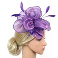 thumbnail image 1 of Hatinator de Diadema Accesorios Estilo elegante Maravillosos Regalos para púrpura Colcomx Venda de la mujer, 1 of 8