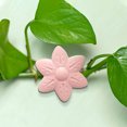 thumbnail image 3 of Clips de pared para plantas verdes | Hebillas sin rastro para macetas trepadoras - Fijadores de enredaderas de interior | Fácil de instalar | Paquete de 10 | Soporte seguro para sala de estar, 3 of 7