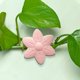 thumbnail image 3 of ShinYu Las Plantas Verdes Trepan Por La Pared con Hebillas Verdes, 3 of 7