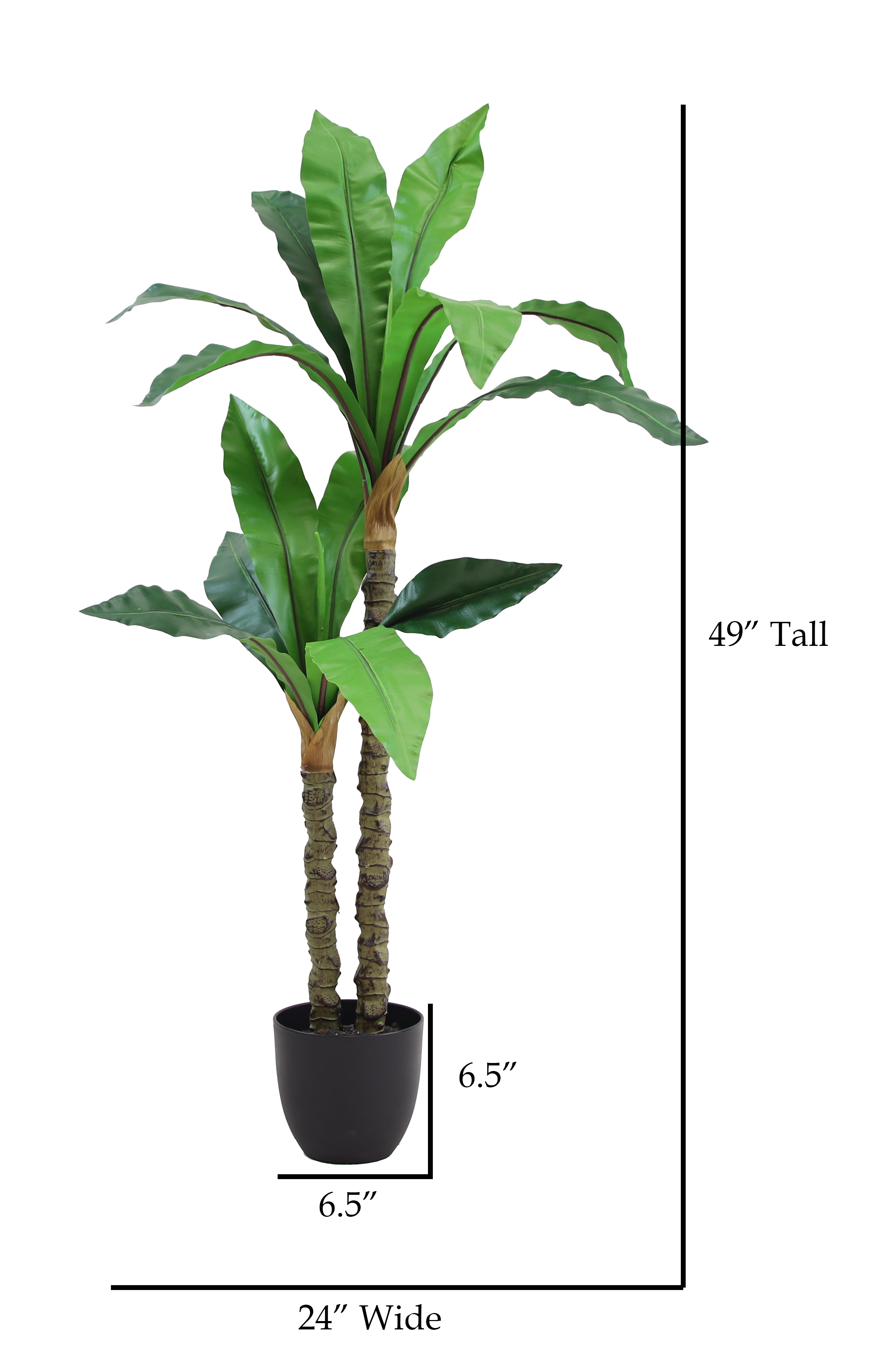 The Mod Greenhouse 49" Artificial Green Dracaena Tree in a 6.5" Black Matte Contemporary Pot (15 Leaf)