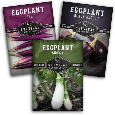 3 Packs Eggplant Seeds - Long Purple Italian, Black Beauty, Snowy White - Non-GMO Heirloom Annual Full Sun