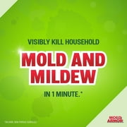 Home Armor Instant Mold & Mildew Stain Remover, 32 oz