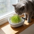thumbnail image 5 of AuroraX Cat Grass Planter Hydroponic Cat Grass Kit Whales Shaped Indoor No Mess Cute Pet Supplies, 5 of 6