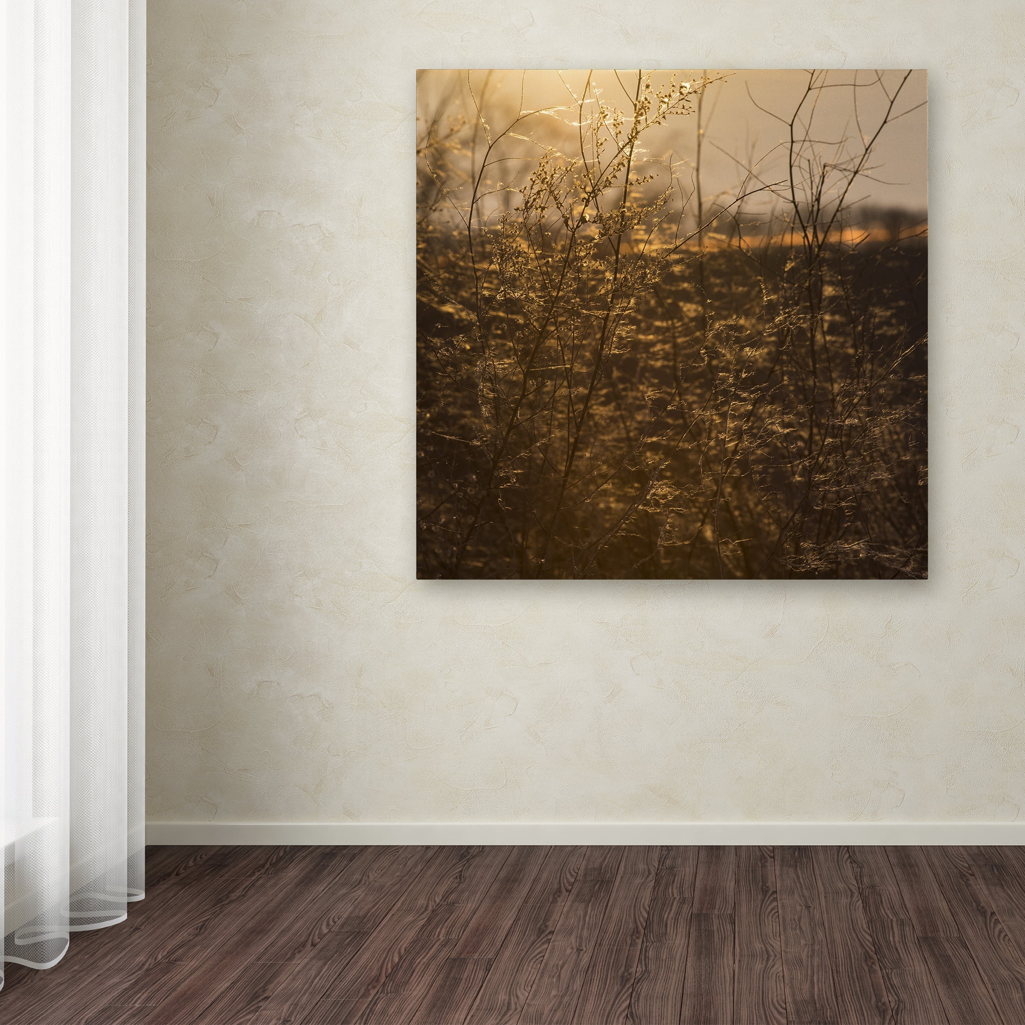 Trademark Fine Art 'Winters Golden Glow' Canvas Art by Kurt Shaffer