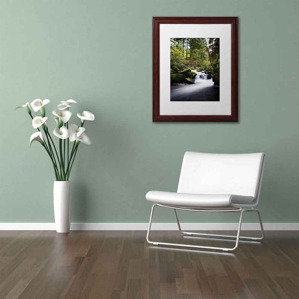 Trademark Fine Art "Still Fall" Canvas Art by Philippe Sainte-Laudy, White Matte, Wood Frame