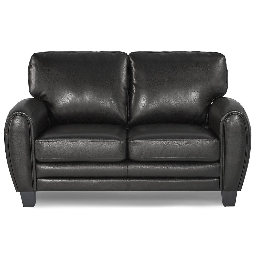 Lexicon Rubin Bonded Leather Loveseat in Black