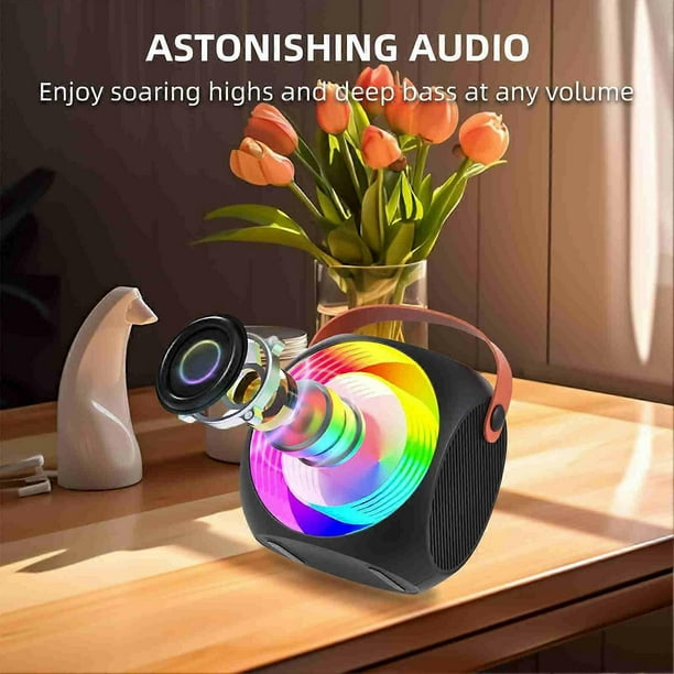 Wireless Speaker Portable Stable BT Connection Karaoke Speaker with Dual Microphone