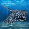 thumbnail image 2 of Ocean Devil Ray Doll Childrens Bed Sleeping Ray Pillow Cute Doll Bag Plush Pendant, 2 of 5