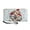 Cats, variant on Candy Cane Pine Cone Pattern Coin Bag, Wristlet Strap PU Leather Long Purse for Travel Beach, Zip Around Long Wallet