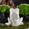 thumbnail image 2 of Modèle de Squelette Grenouille Halloween Statue de Squelette Animal Réaliste Décor de Squelette Grenouille Ornements, 2 of 5