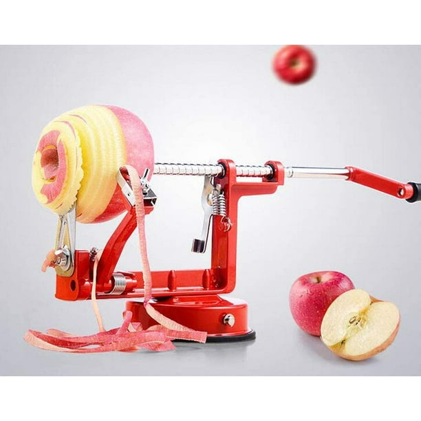 Dénoyauteur de pomme en acier inoxydable - Coupe-pommes, séparateur de  pommes, poires - En acier inoxydable - Résistant à l'acide, facile à  nettoyer : : Cuisine et maison