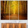 thumbnail image 1 of Pathway in Green Autumn Forest, 1 of 1