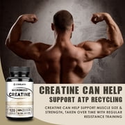 Micronized Creatine Capsules - Muscle Building Support, Improve Performance & Strength - 120 Capsules