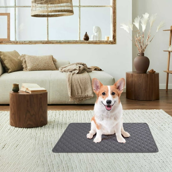 COMTOA Washable Pee Pads for Dogs, Superior Reusable Puppy Pads Pet Training Pads –100% Waterproof Dog Pee Pad for Dogs, Cats, Bunny & Senior, Dog Mats for Floor Protector