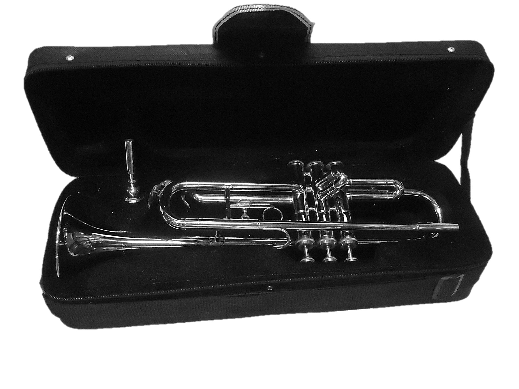 trumpet ni with hard case and mouthpiece sale percent on