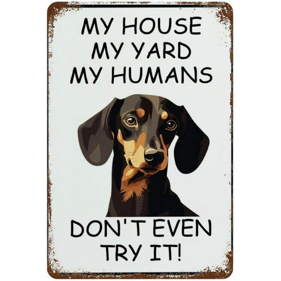 Funny Vintage Tin Sign Dachshund My House My Yard My Humans Pet Dog Retro Metal Tin Sign Vintage Aluminum Sign For Home Coffee Wall Decor 8X12 Inch