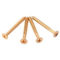 thumbnail image 4 of TISHITA 2X 4 Pieces Gold Neck Plate Mounting Screws For ST Electric Guitar Parts, 4 of 7