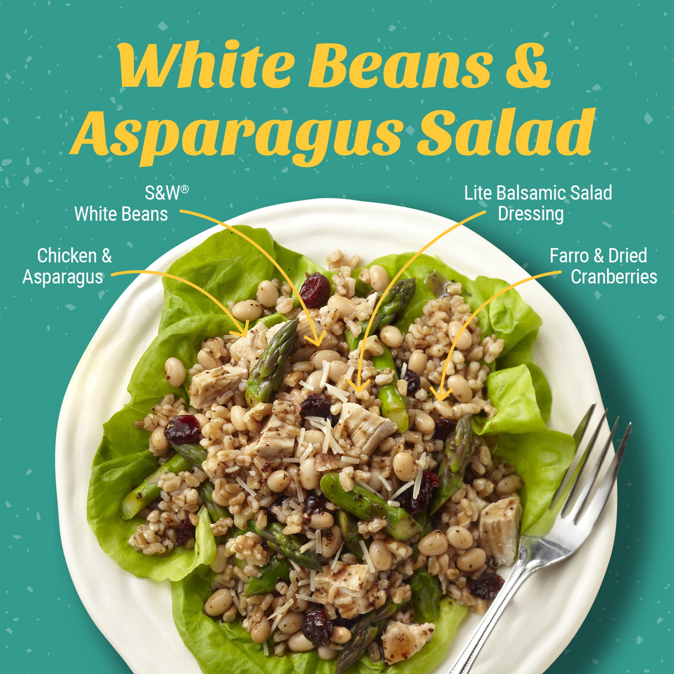 S&W White Beans - Navy Beans - 15.5 oz. Can