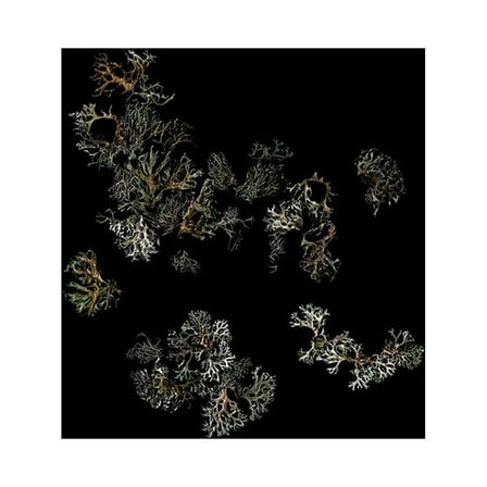 Deathcrash - Return - Music & Performance - Vinyl