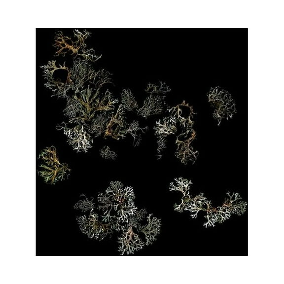 Deathcrash - Return - Music & Performance - Vinyl