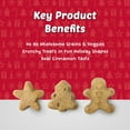 thumbnail image 2 of Blue Buffalo Santa Snacks Biscuits Croquant pour Chiens, 311g, 2 of 8