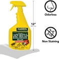 thumbnail image 2 of HARRIS Asian Lady Beetle and Box Elder Killer, Liquid Spray with Odorless and Non-Staining Extended Residual Kill Formula 32oz, 2 of 7