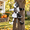 Black and White, variant on Flying Witch Decorations Outdoor Crashing Hanging Decor