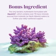 thumbnail image 5 of (2 pack) Barimelts Bariatric Vitamins, Once-Daily Bariatric Multivitamin with Iron and Magnesium, 60 caplets, 5 of 10