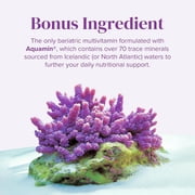 Barimelts Bariatric Vitamins, Once-Daily Bariatric Multivitamin with Iron and Magnesium, 60 caplets