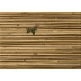 thumbnail image 1 of Ahgly Company Machine Washable Indoor Rectangle Transitional Dark Bronze Brown Area Rugs, 2' x 4', 1 of 7