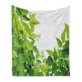 thumbnail image 1 of Plant Soft Flannel Fleece Throw Blanket, Photo of Fresh Leaves Spring Season Birth of Nature Happiness Ecology, Cozy Plush for Indoor and Outdoor Use, 50" x 60", Apple Green, by Ambesonne, 1 of 6