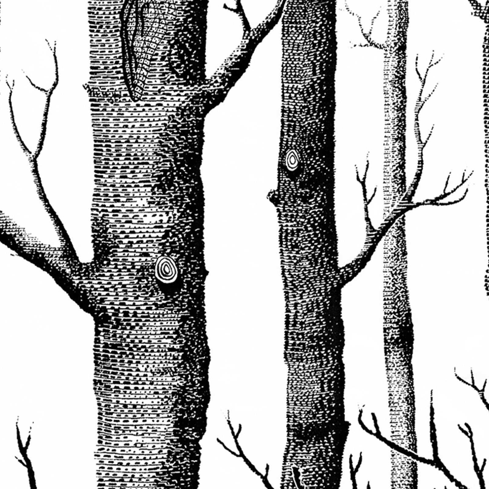 MoreFarther Wood Grain Peel and Stick Wallpaper Self Adhesive Removable