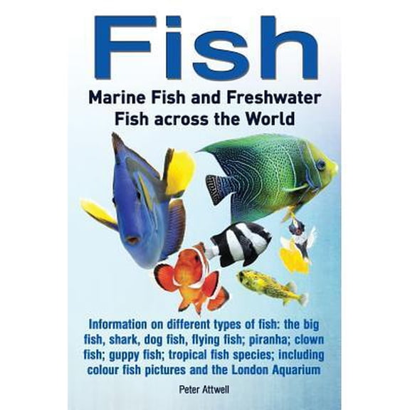Fish: Marine Fish and Freshwater Fish Across the World: Information on Different Types of Fish: The Big Fish, Shark, Dog Fis (Paperback)