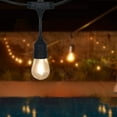 Honeywell 24' LED Indoor/Outdoor String Lights, 12 Warm White Lights