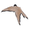 thumbnail image 4 of Actuador del eje del eje de 4WD 4x4 apto para 4WD AWD 7L1Z3C247A , Yotijar  Decoraciones de aves artificiales, 4 of 8
