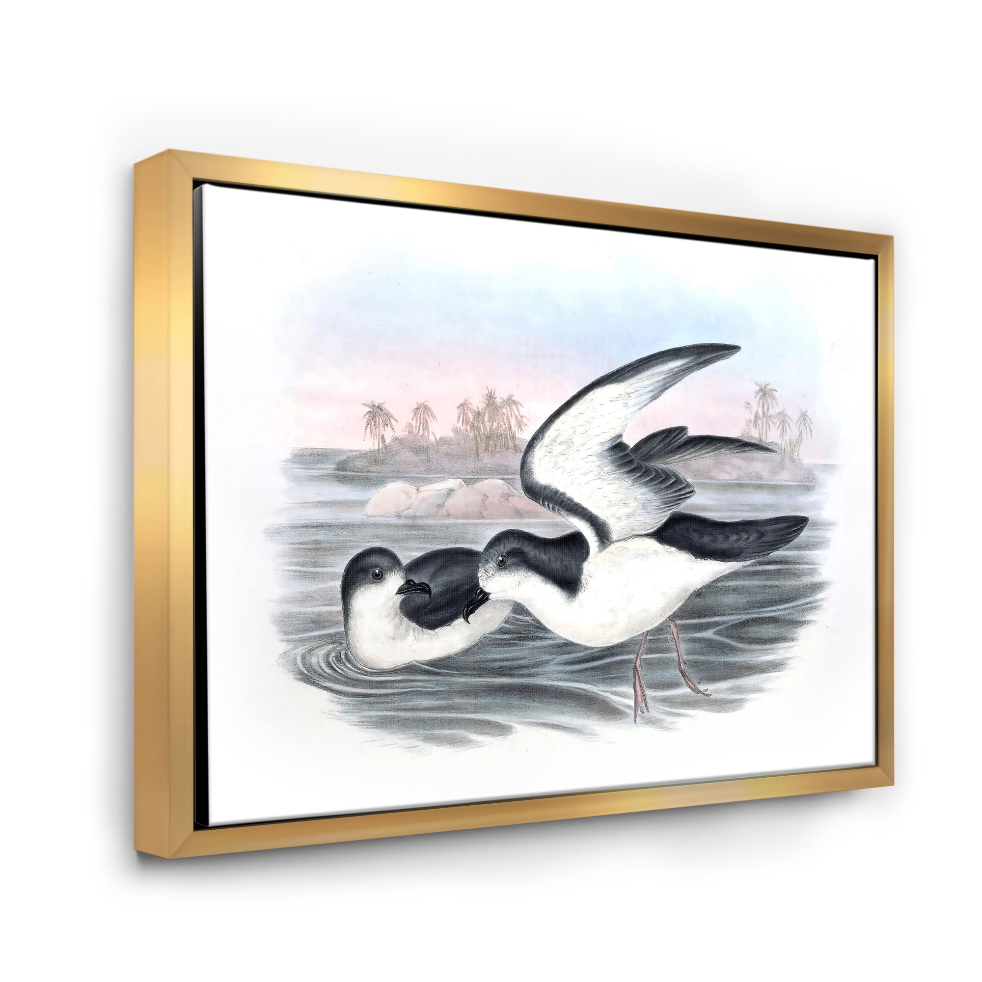 Ancient Australian Birds X 32 in x 16 in Framed Painting Canvas Art Print, by Designart